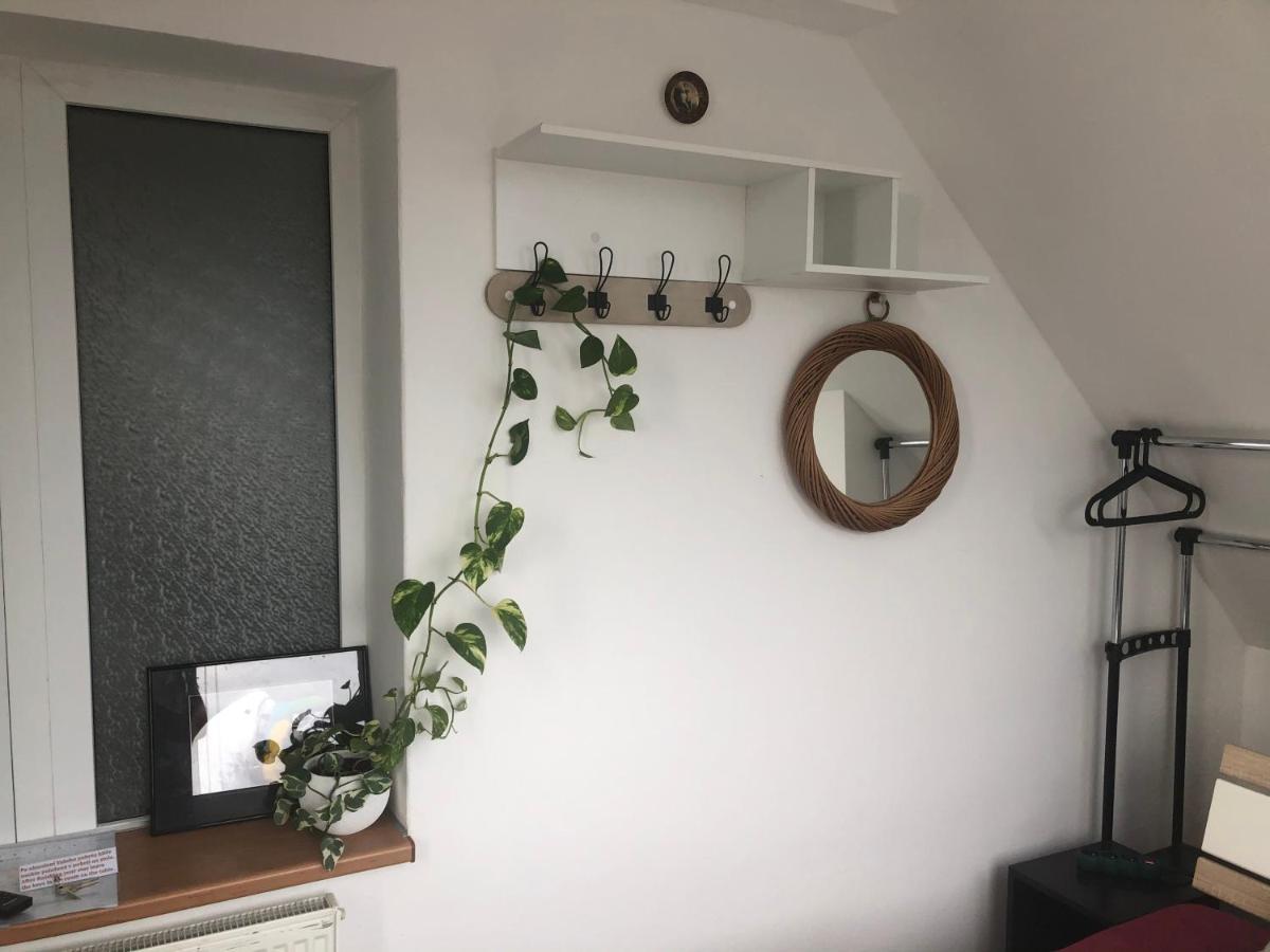 Homestay U Hanky Zdiby Exterior foto